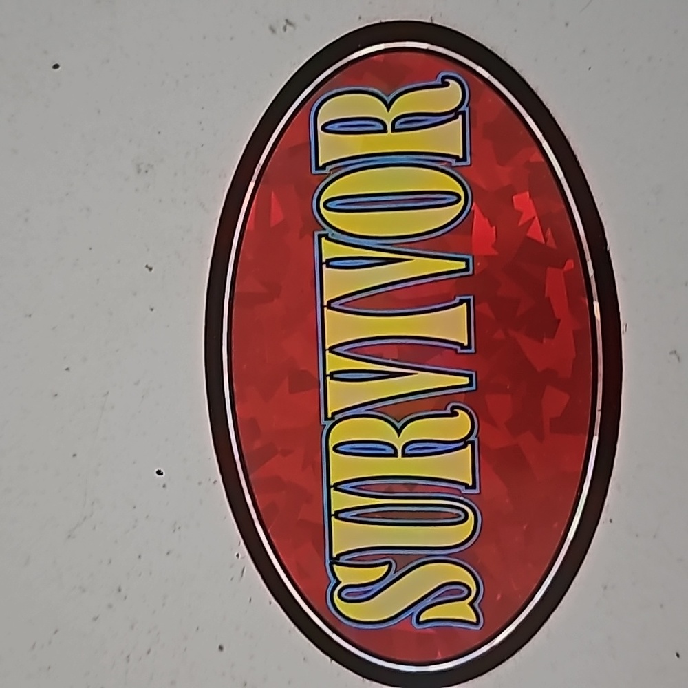 10/$25 vintage 90s y2k survivor sticker